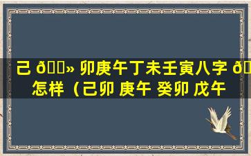 己 🌻 卯庚午丁未壬寅八字 🐅 怎样（己卯 庚午 癸卯 戊午）